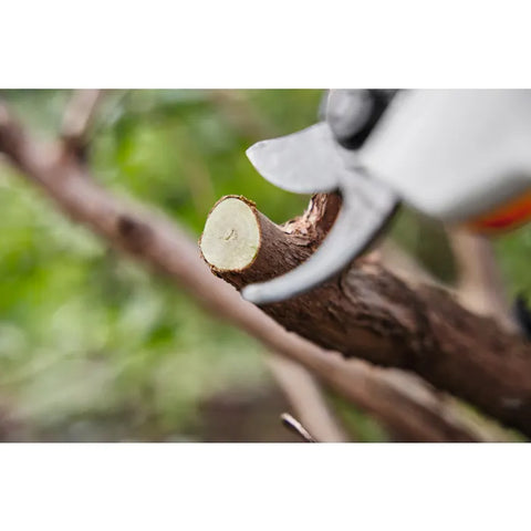 ASA 20 Battery Secateurs AS-System Skin Only