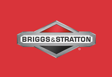 Briggs & Stratton