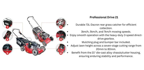 CD21B 3 Speed Self-propelled Professional Lawn Mower