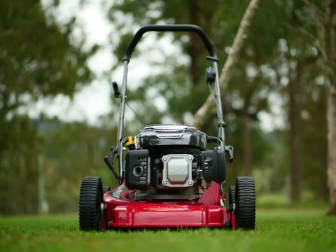 CP19S Professional Steel Base Lawn Mower