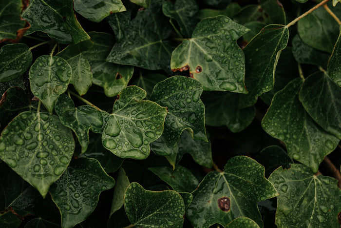 Specials